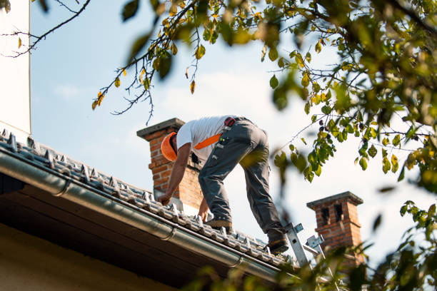 Best Tile Roofing Contractor  in Eureka Springs, AR
