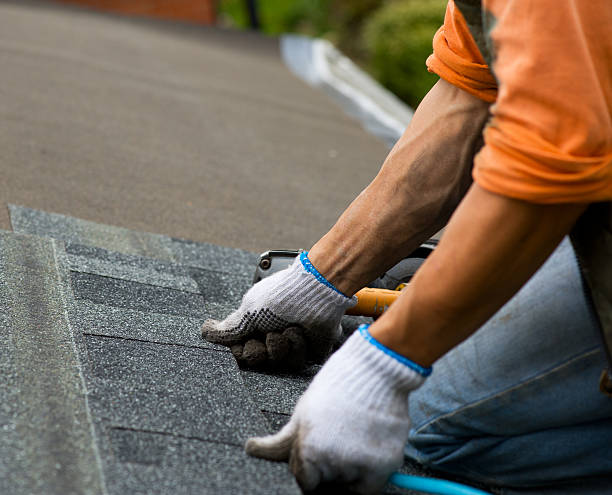 Best New Roof Installation  in Eureka Springs, AR