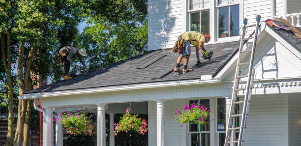 Best Roof Gutter Cleaning  in Eureka Springs, AR